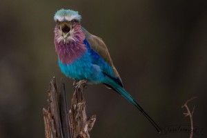  DSC7605   